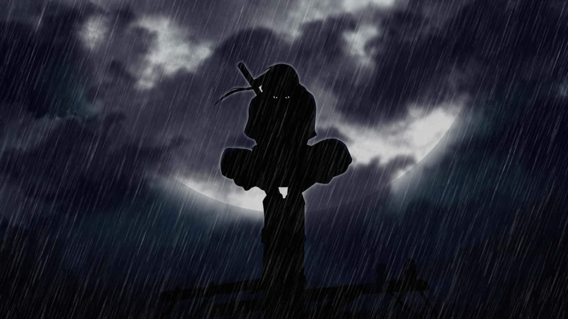 雨夜中的鼬 壁紙