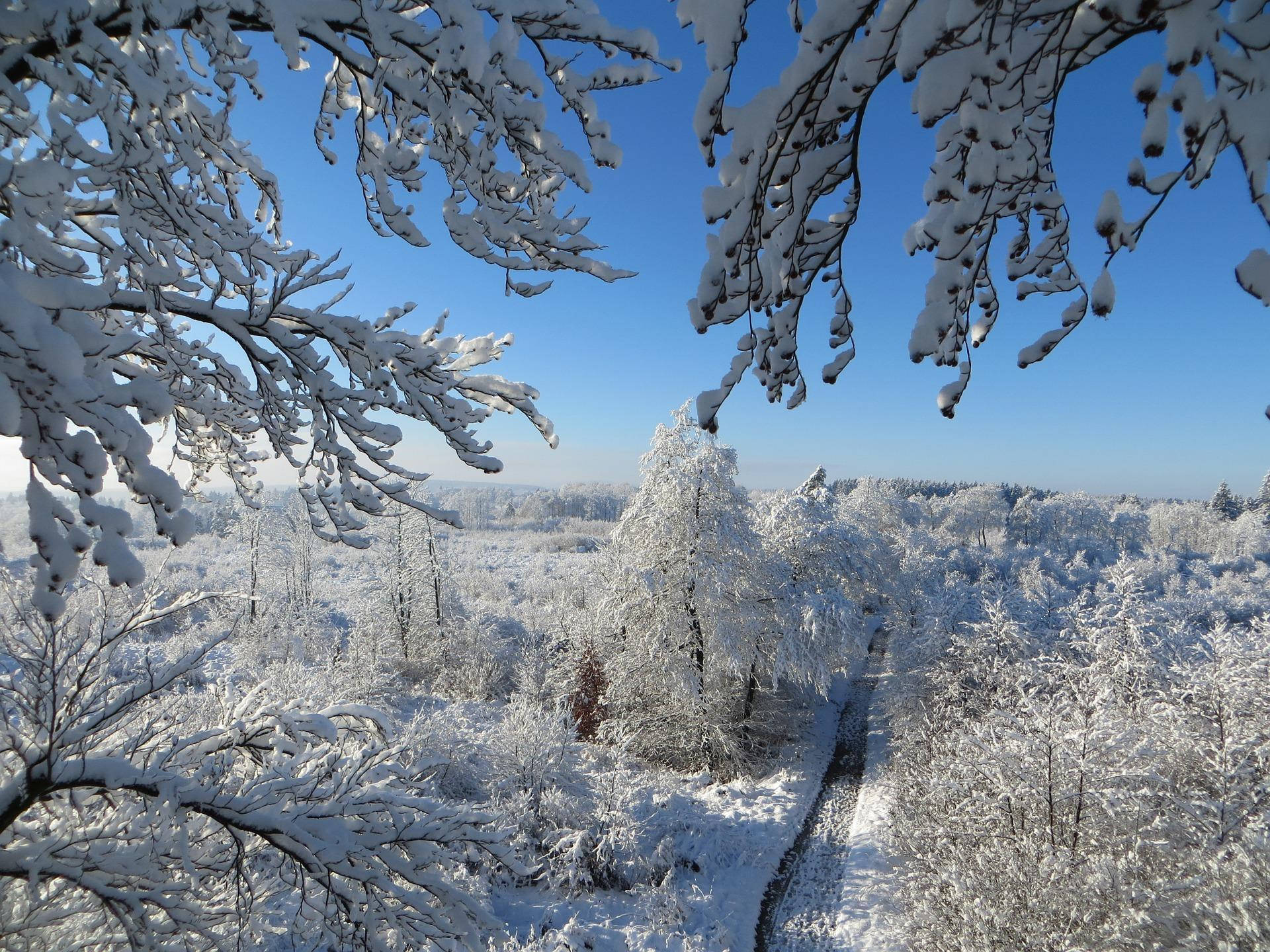 雪景之美 壁紙