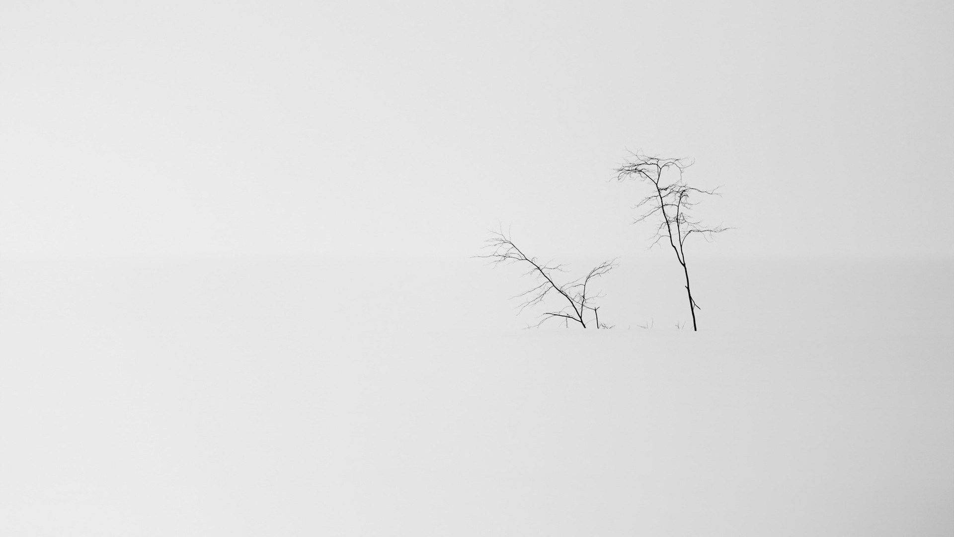 雪景极简美学笔记本电脑壁纸 壁紙