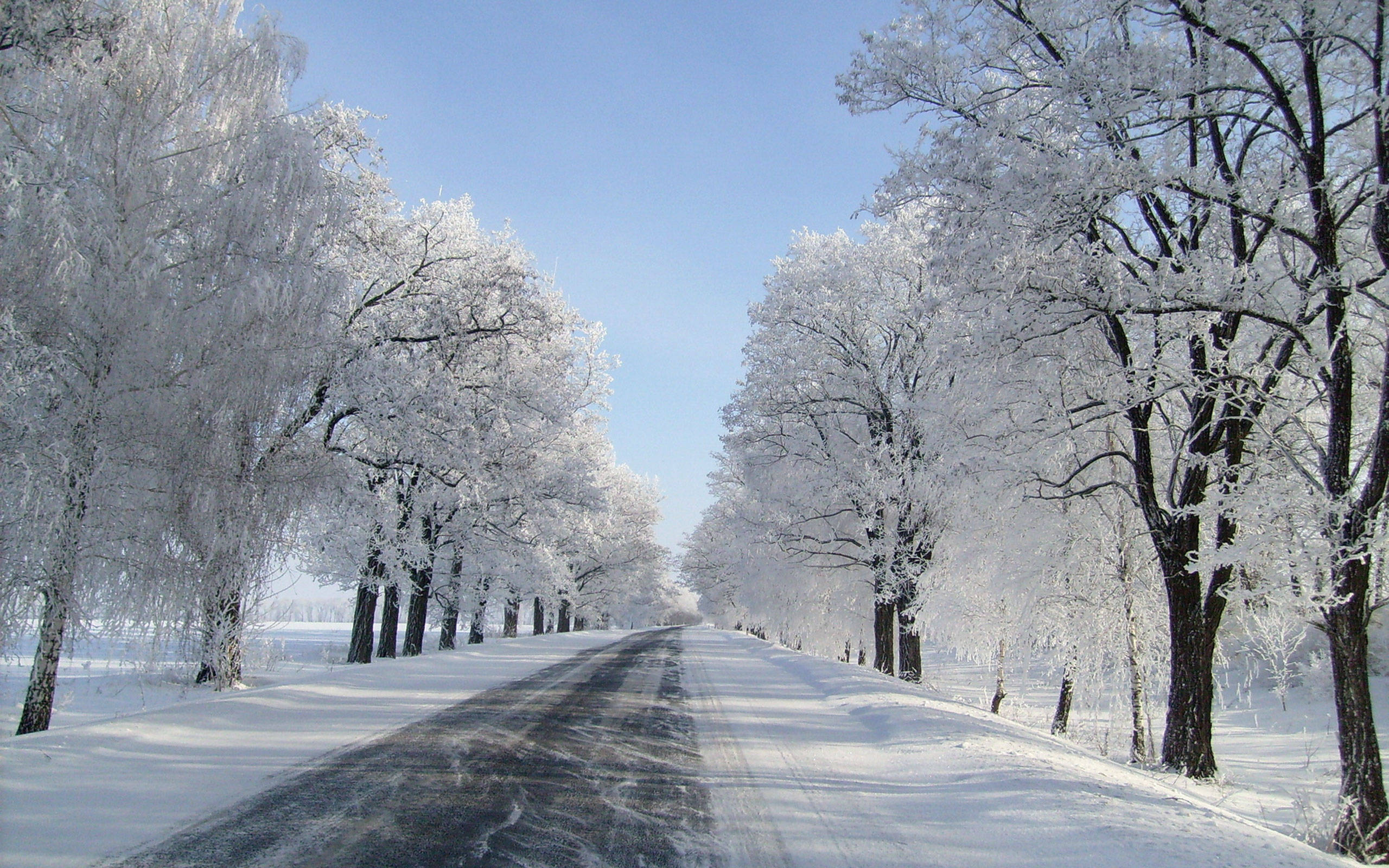 雪景美學之路 壁紙