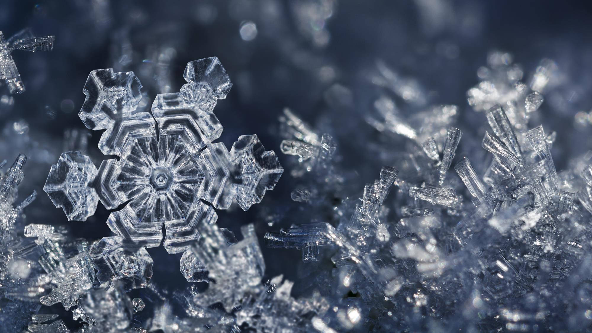 雪景美學冰柱 壁紙