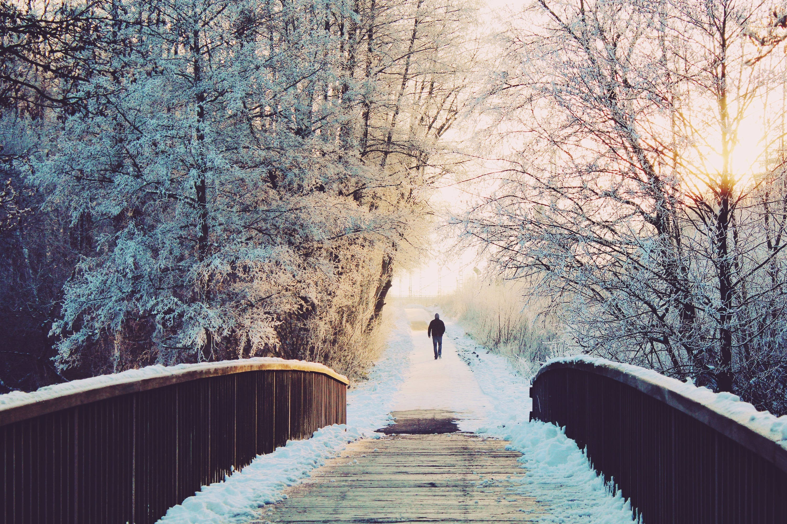 雪景美學小徑 壁紙