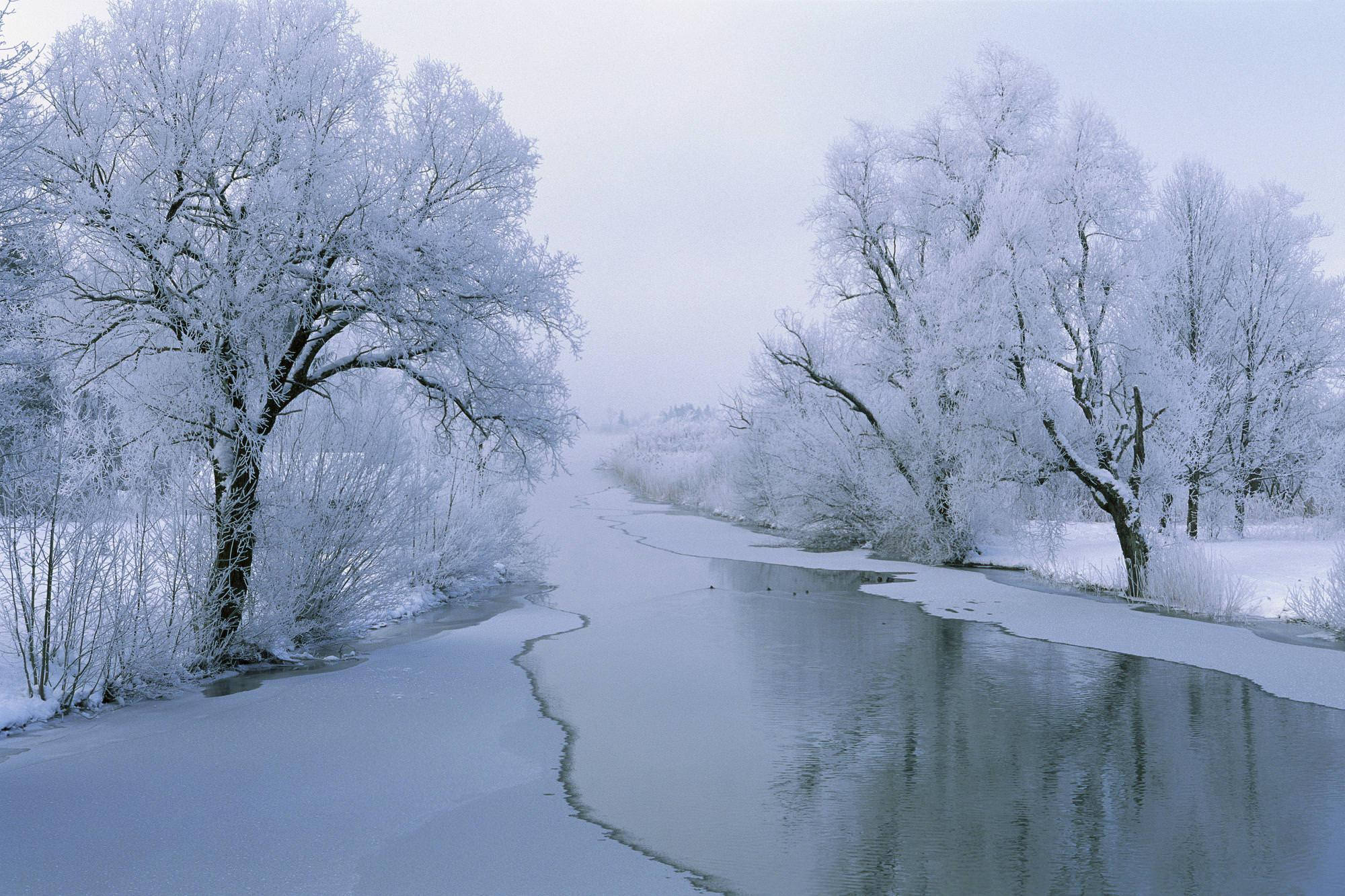 雪景美學路面 壁紙