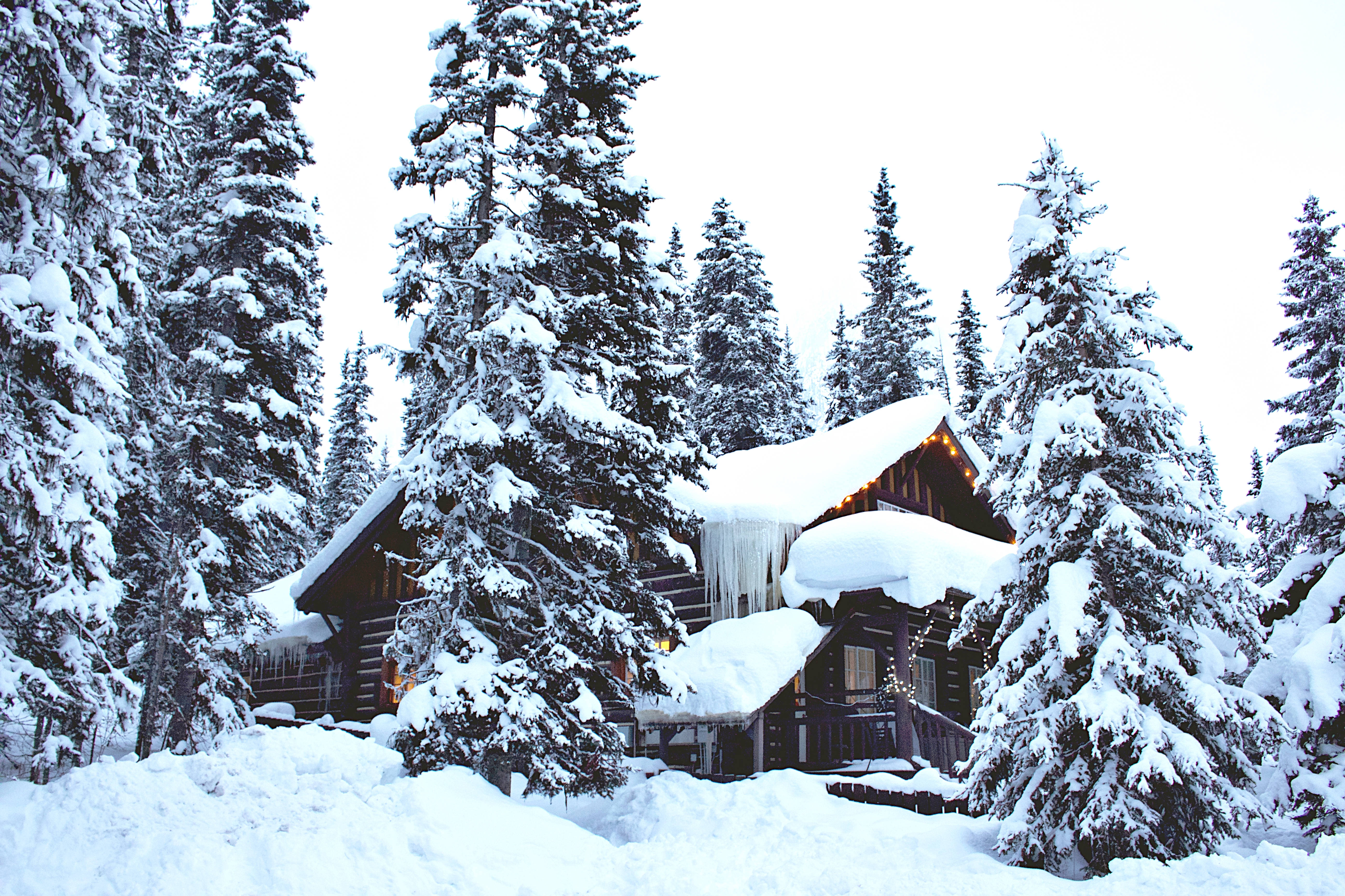 雪球般夢幻小屋的冬日仙境 壁紙