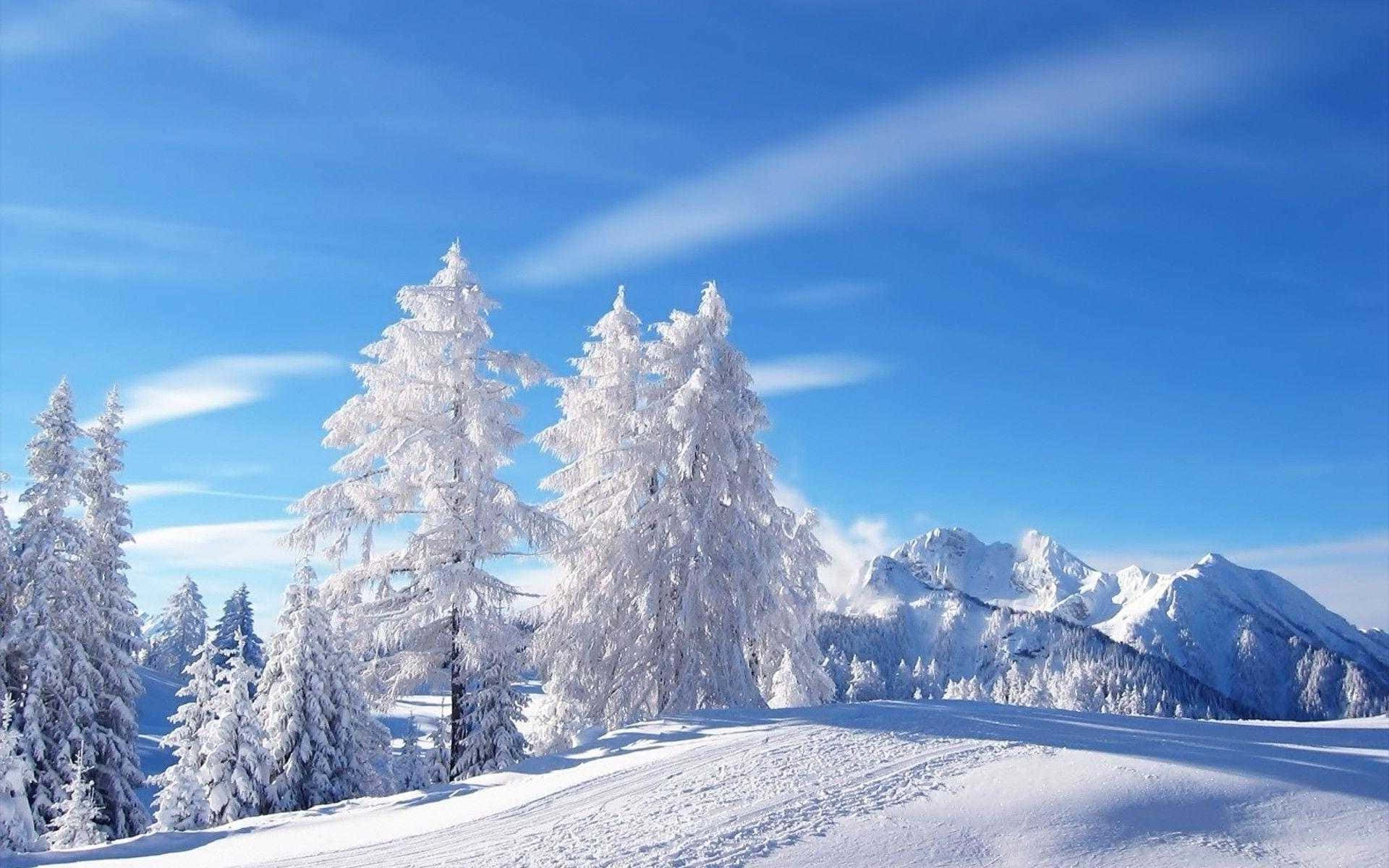 雪覆山峦冬日仙境背景 壁紙