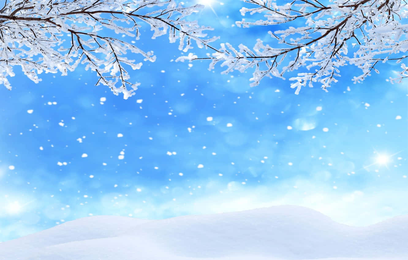 雪覆樹木與飄雪落地 壁紙