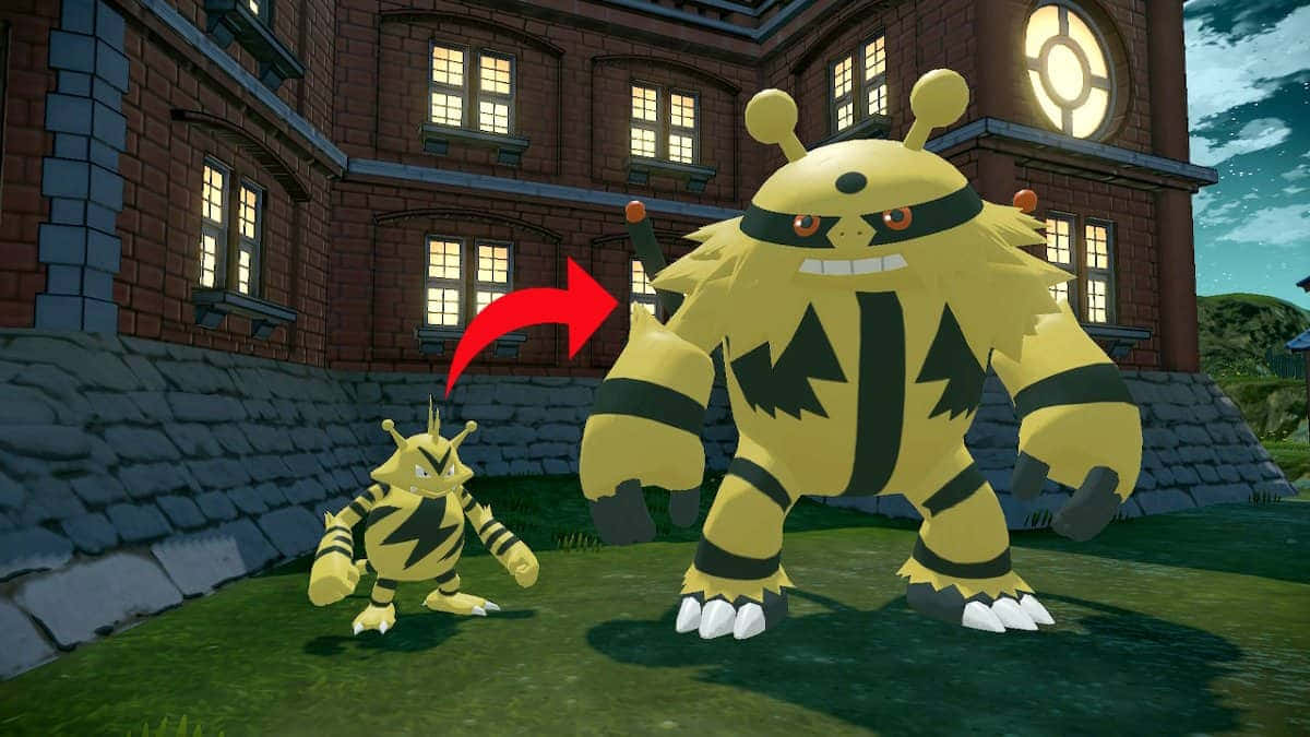 電擊魔獸在寶可夢對戰中蓄積能量 壁紙