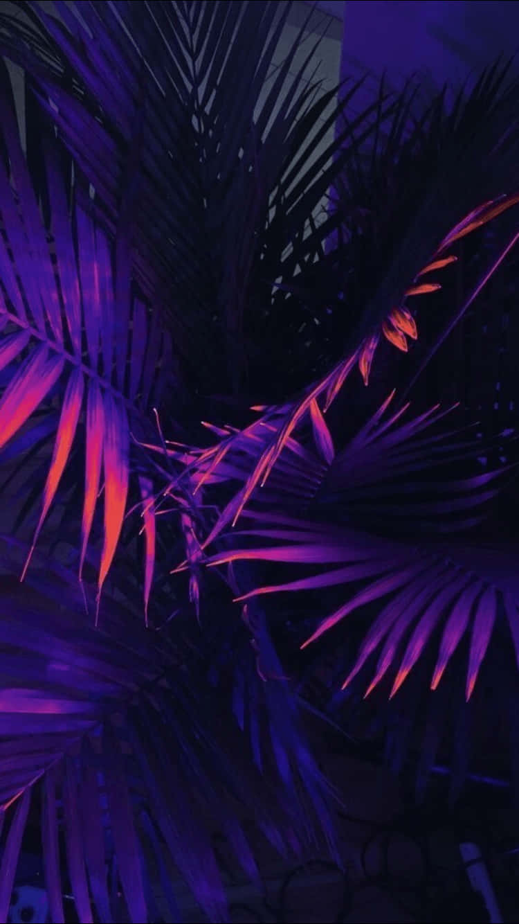 霓虹棕榈植物美学紫色背景 壁紙
