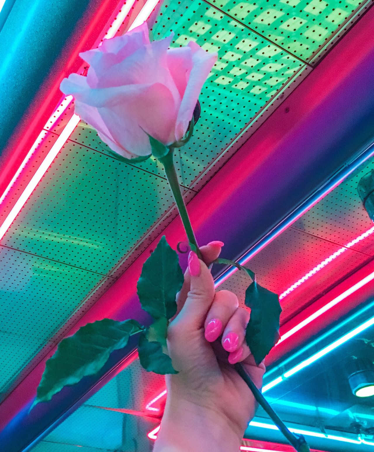 霓虹美学的多彩梦境 壁紙