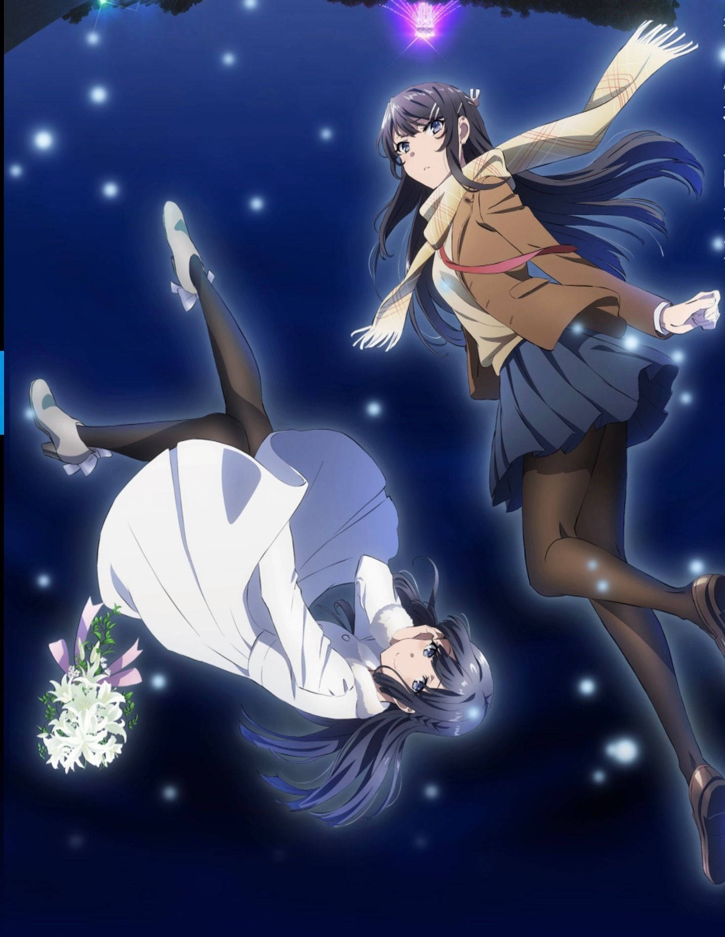 青春豬頭少年不會夢到兔女郎學姐