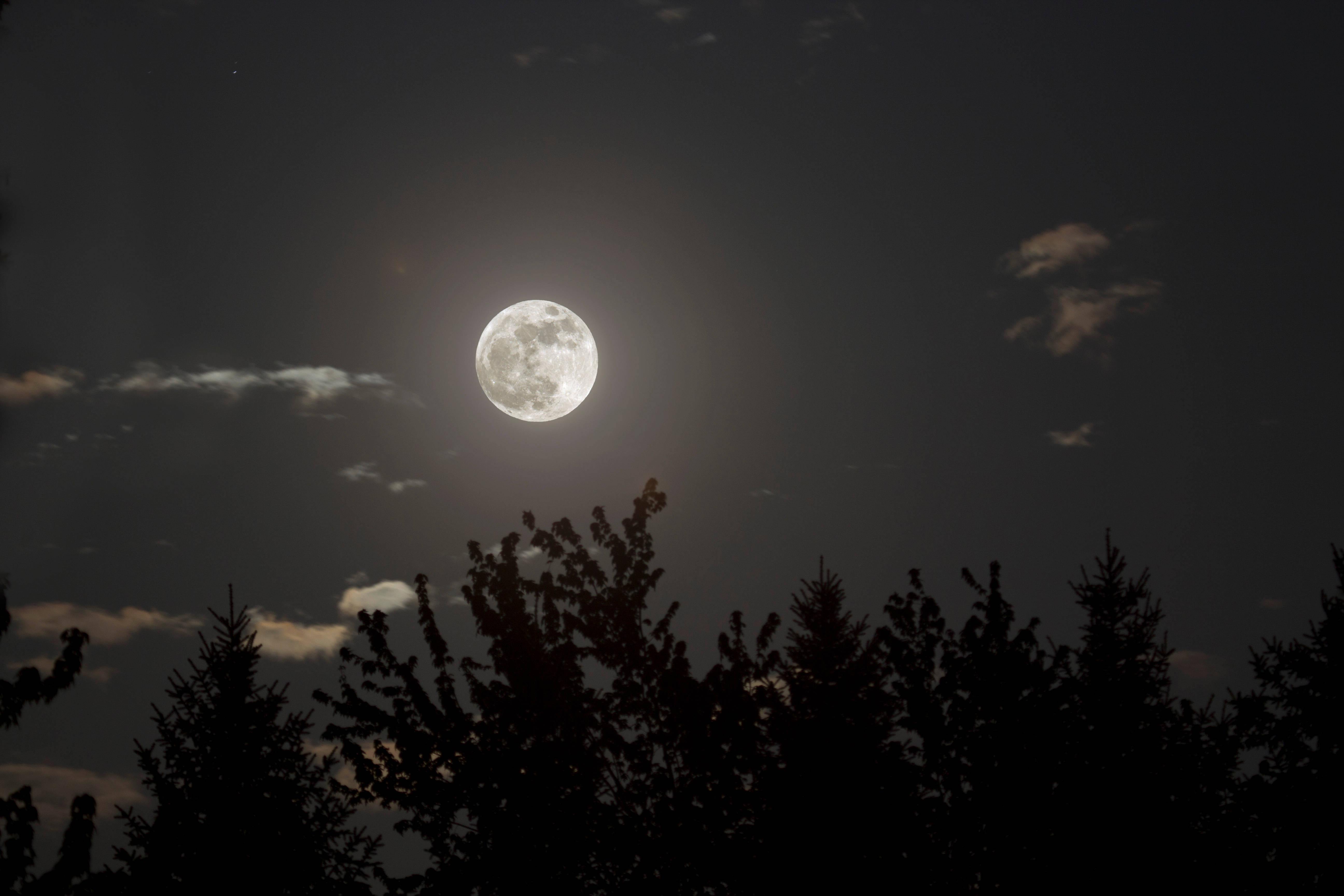 靜夜美月 壁紙