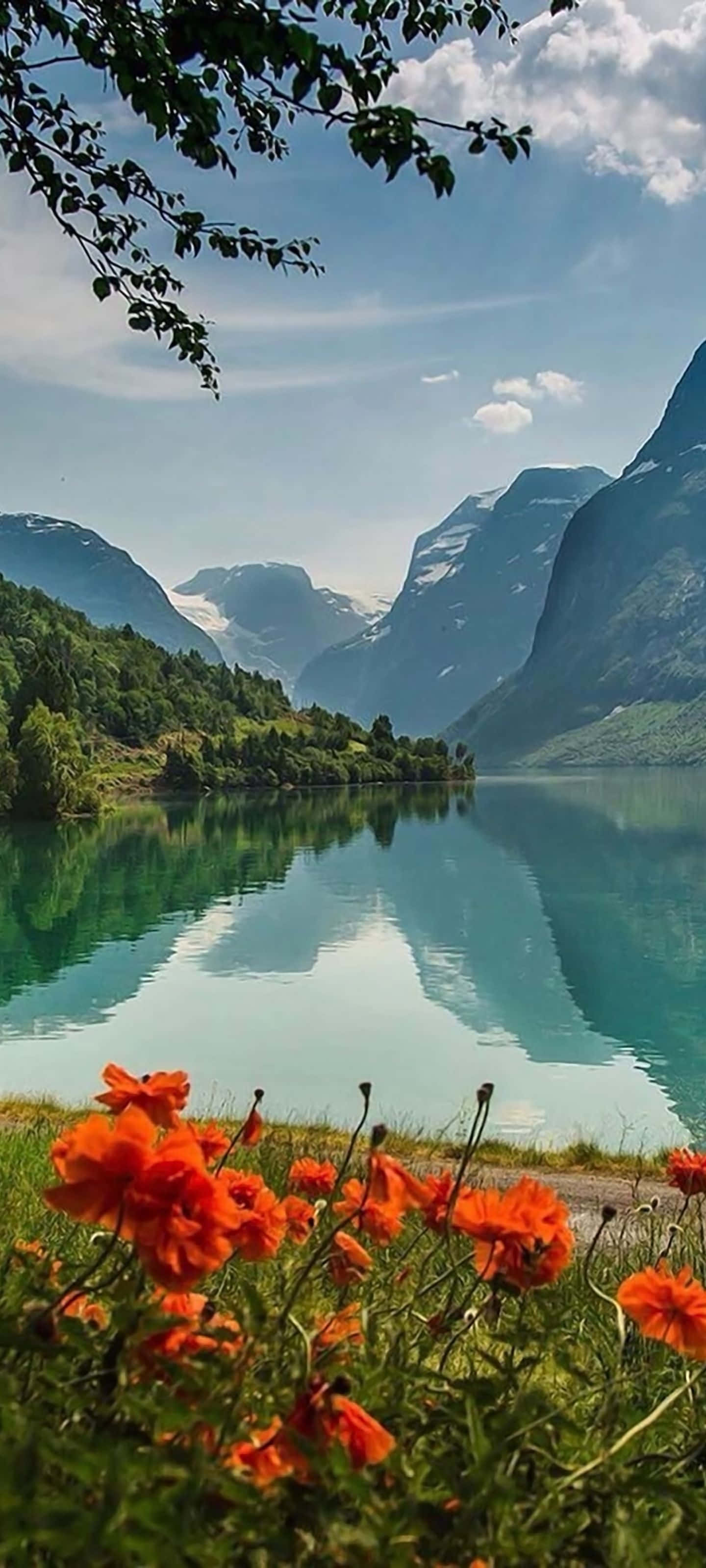 風景優美的海灘度假地 壁紙