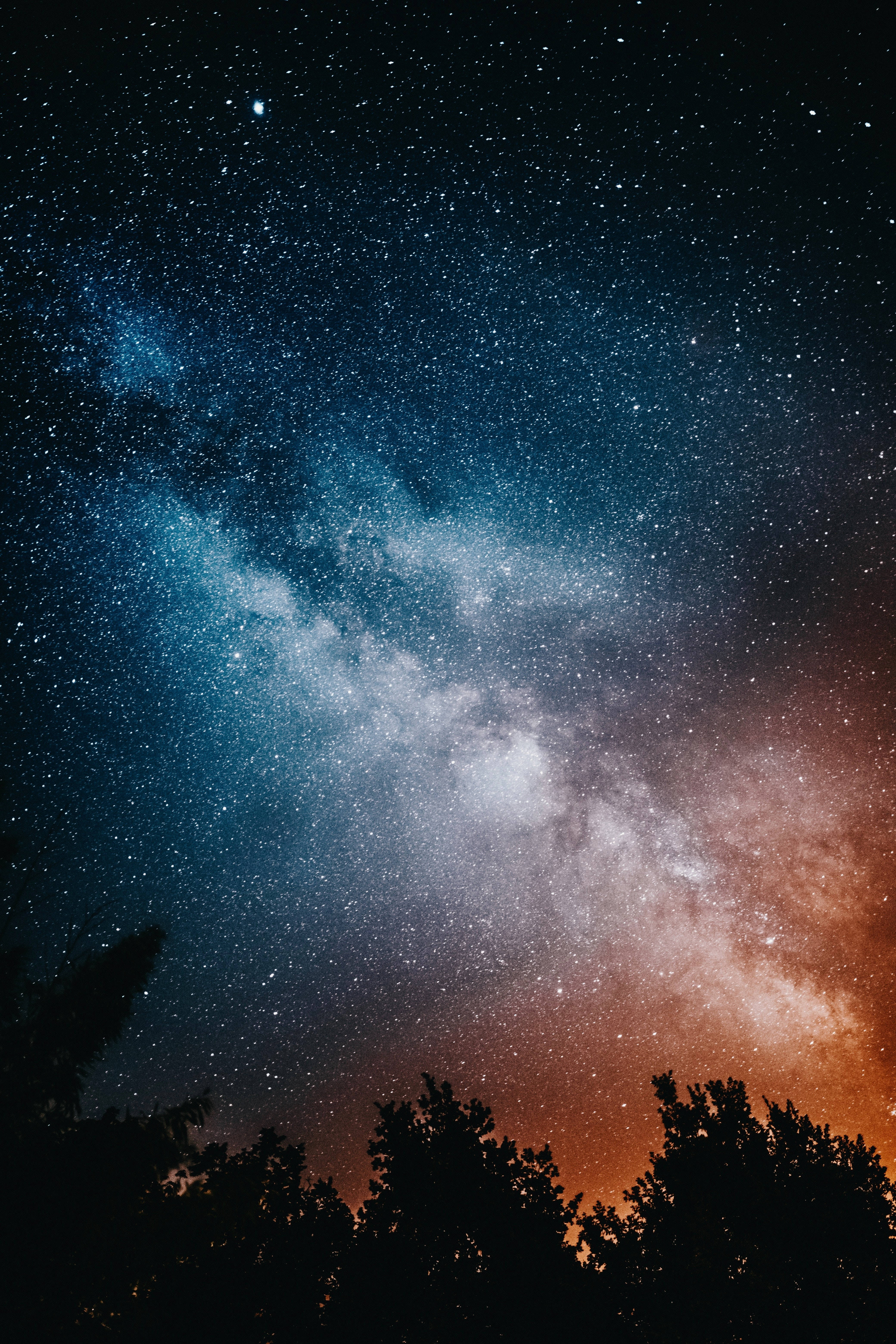 高解析度星空與樹木 壁紙