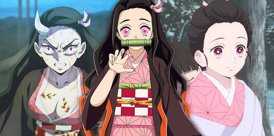 鬼灭之刃 祢豆子不同人生阶段 壁紙