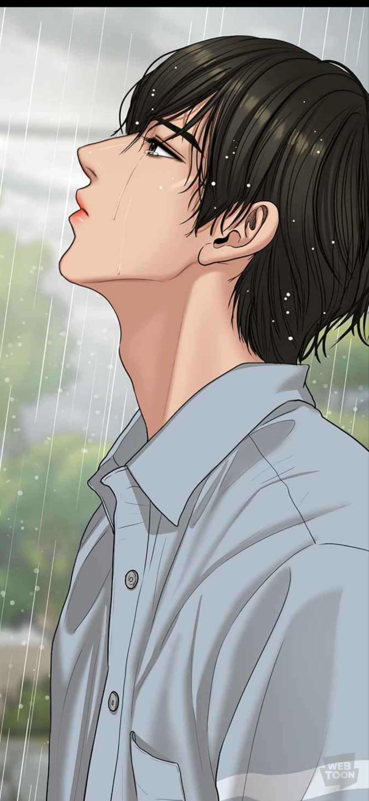 黎明時分的棉花田 壁紙