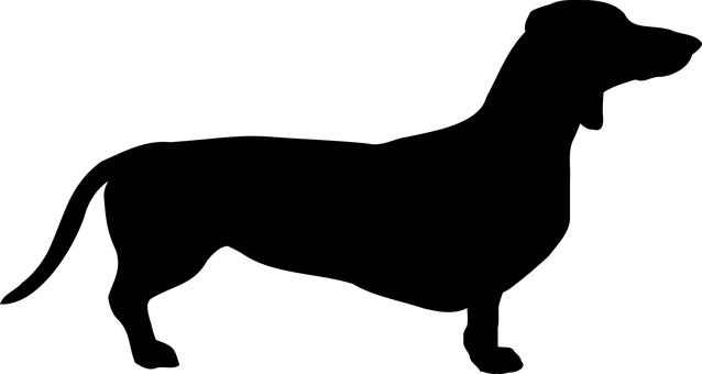 黑屏無內容 狗相關 壁紙