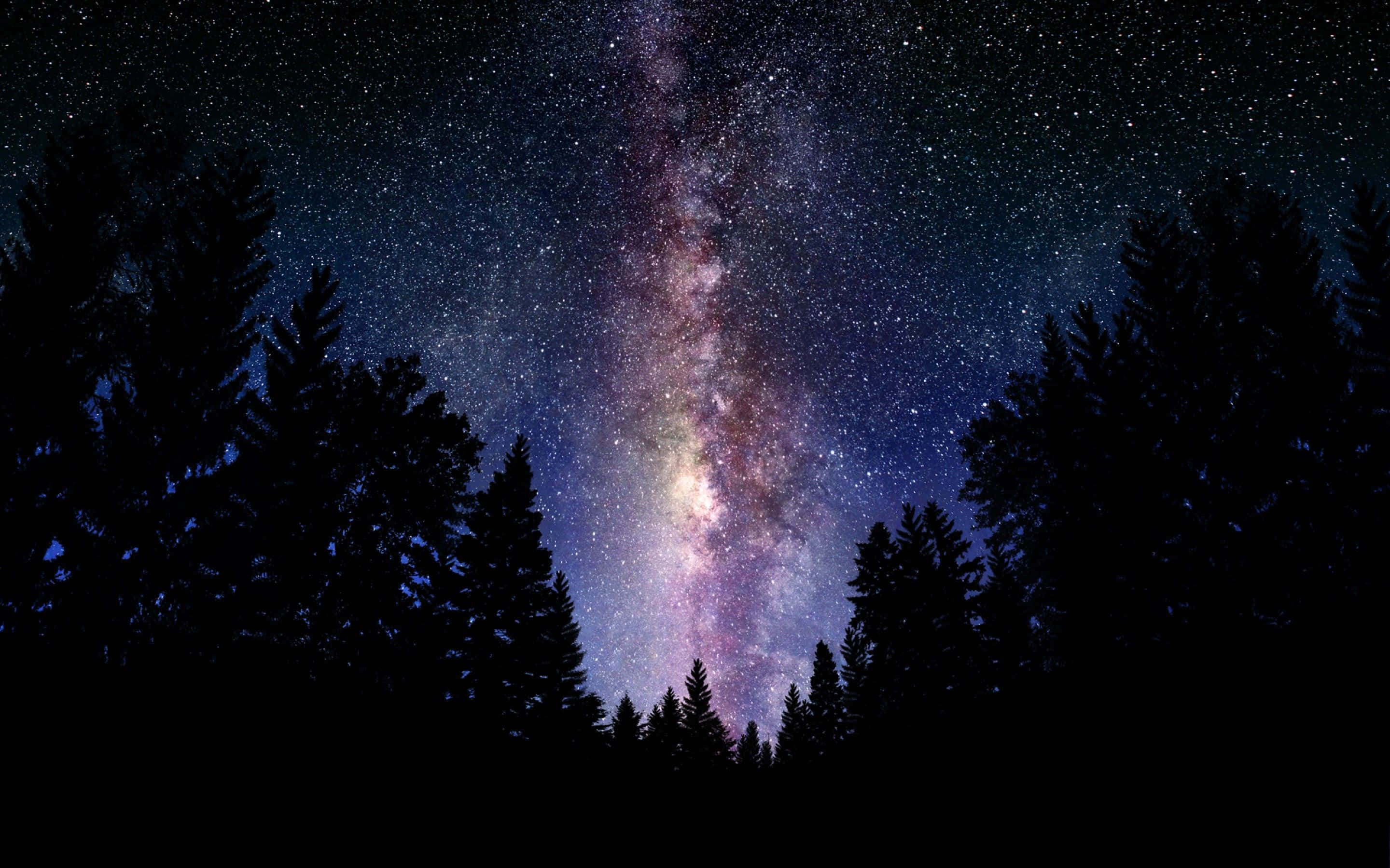黑暗森林中的美麗星系 壁紙