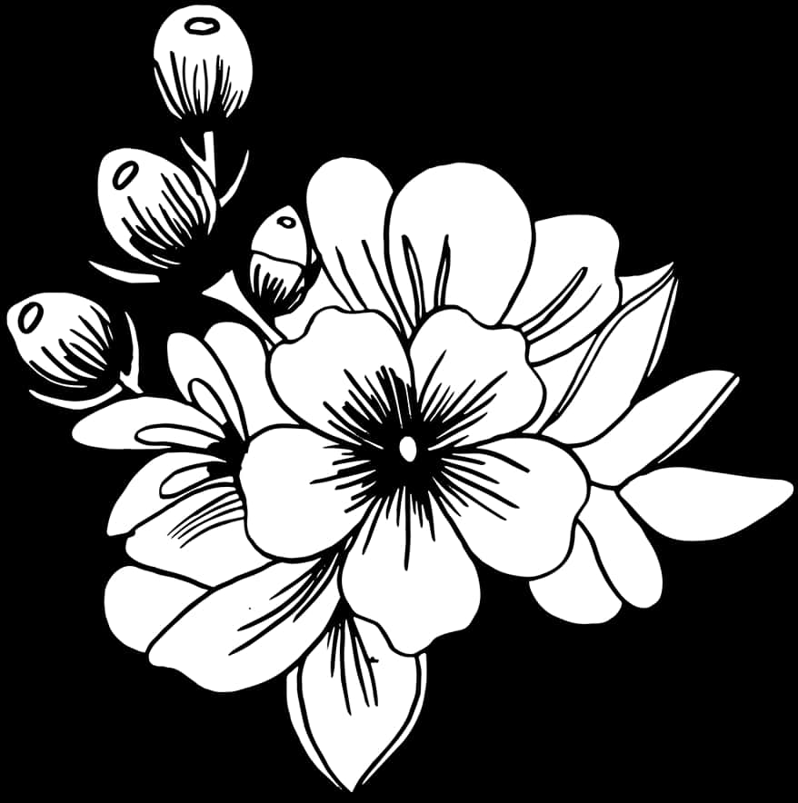 黑白花卉插画 壁紙