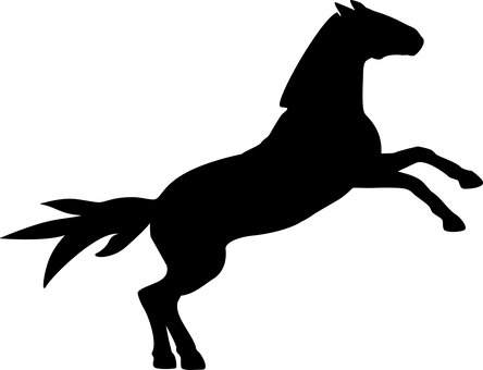 黑色剪影駿馬 壁紙