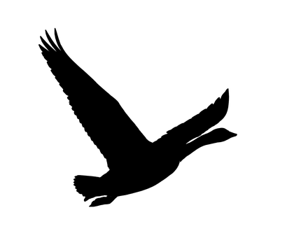 黑色剪影鳥類飛行 壁紙