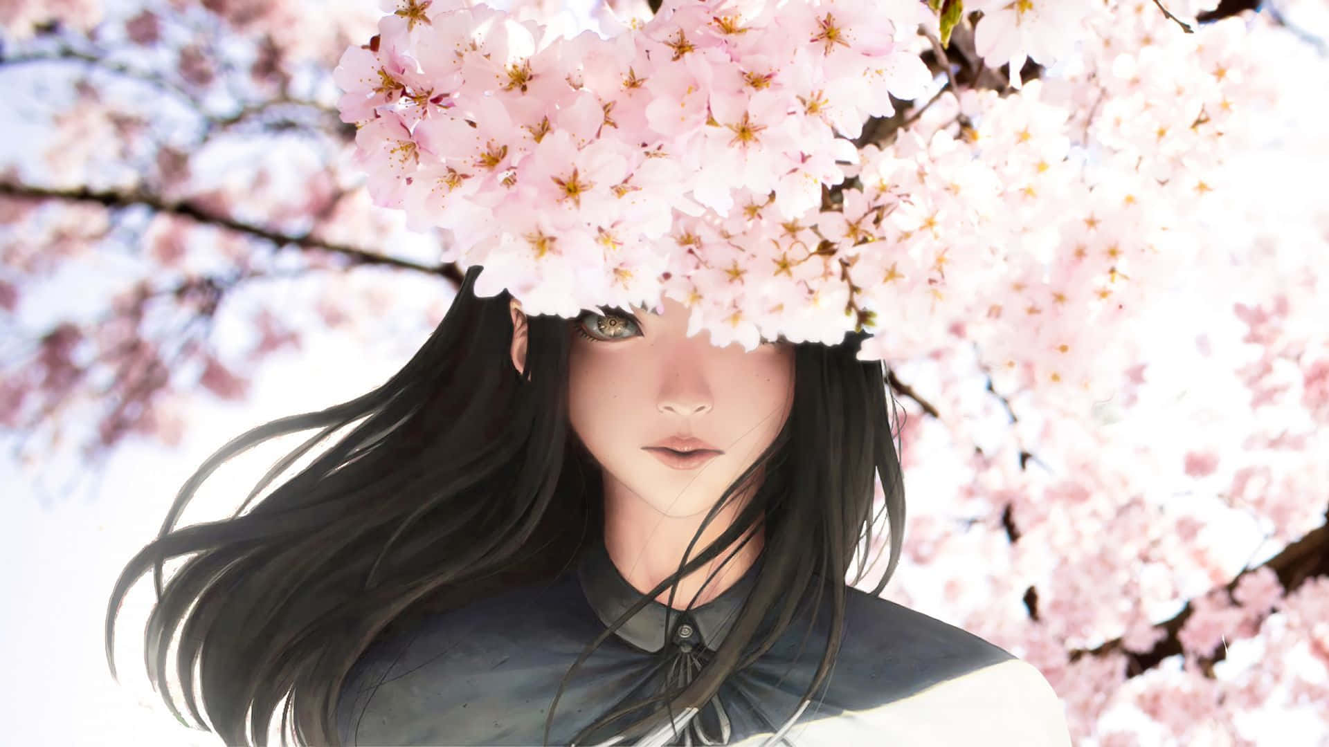 黑髮少女與櫻花動漫花朵 壁紙