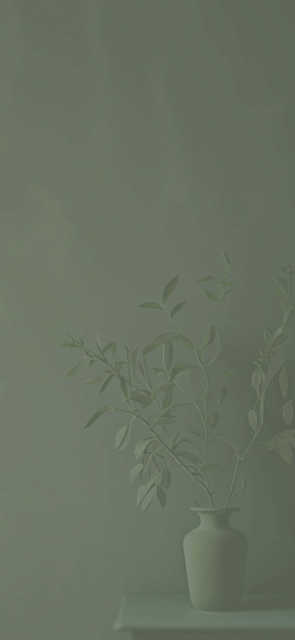 鼠尾綠背景的柔和寧靜 壁紙