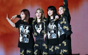 2NE1世界巡演壁纸 — 16:10 壁紙
