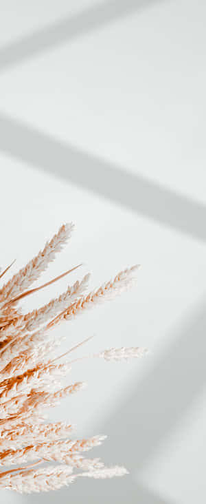 1080x2636 — 小米 Mix Flip 2 壁紙