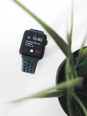 Apple Watch 美观摄影照片壁纸 — Apple Watch 壁紙