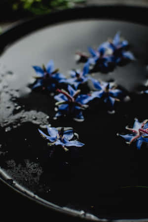 Borage Blue Flowers Phone — 华为MatePad 11.5 (2026) 壁紙