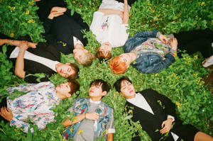 BTS 草地躺卧桌面壁纸 — BTS 桌面 壁紙