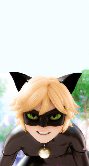 Cat Noir 兇猛眼神桌布 — 貓 壁紙