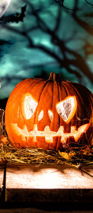 Cute Halloween Phone — OnePlus 11 壁紙