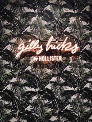 Hollister 棕櫚樹葉桌布 — 3:4 壁紙