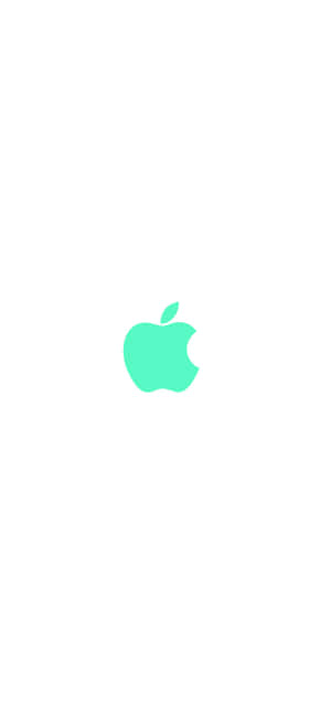 iPhone 11 绿色 — Pixel 8 Pro 壁紙
