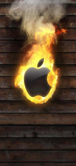 iPhone 11 圖片 — 美學 iPhone 壁紙