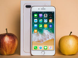 iPhone 8 與蘋果