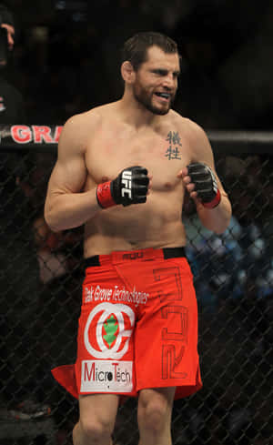 Jon Fitch 站立於 UFC 141 八角籠中 — RedMagic 平板 壁紙