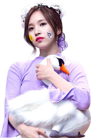 Kpop明星與天鵝玩偶