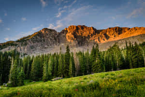 Mac 背景 — MacBook Pro 14 壁紙