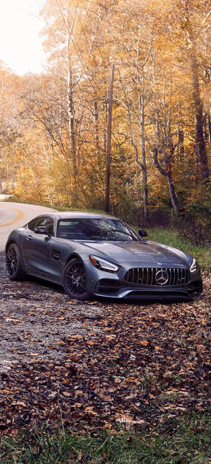 Mercedes AMG iPhone 秋日樹木 — iPhone 14 Plus 壁紙