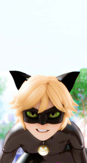 Cat Noir 圖片 — 瓢虫和黑猫接吻 壁紙