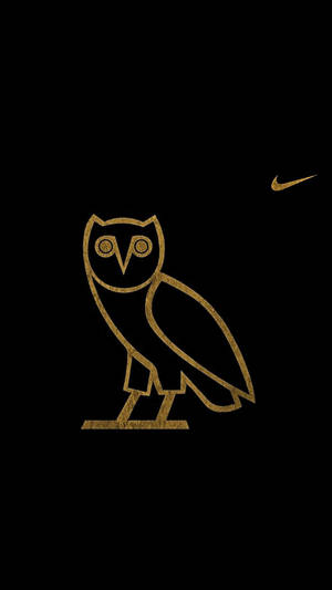 Nike标志与酷猫头鹰