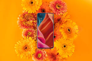 Oppo智能手机与繁花共舞 — Oppo 壁紙