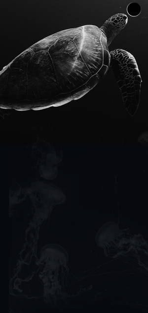 S10+ 黑暗海龜桌布 — iPhone 18 Pro Max 壁紙