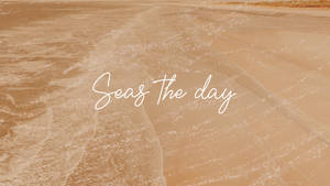 Seas The Day 奶油美學