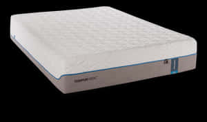 Tempur Pedic 獨立床墊