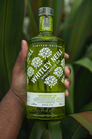 Whitley Neill 琴酒 — 小米平板8 壁紙