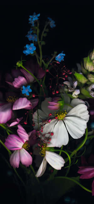 一瓶鮮花 — 花朵 iPhone 壁紙