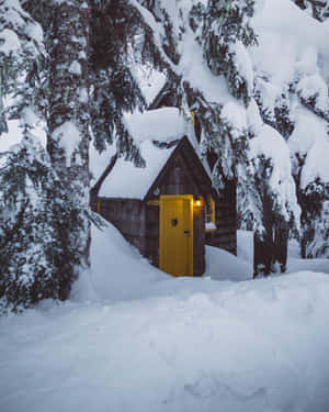 雪景美學圖片 — 雪景美學 壁紙
